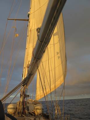 m_IMG_0483.jpg