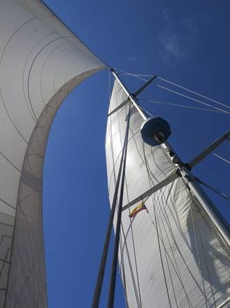 m_IMG_0493.jpg