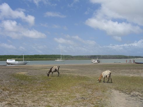 clip_image007