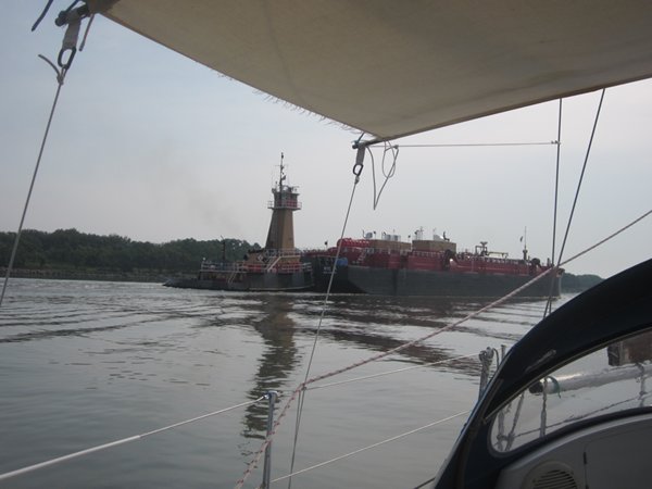 m_IMG_5305.jpg