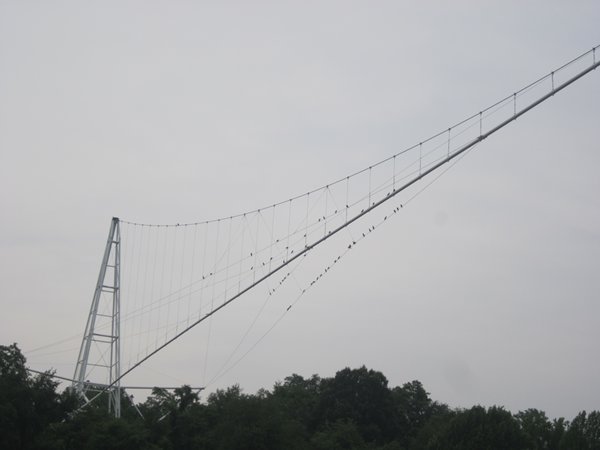 m_IMG_5269.jpg