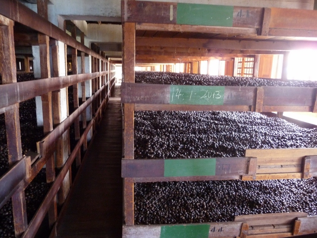 Inline image 3