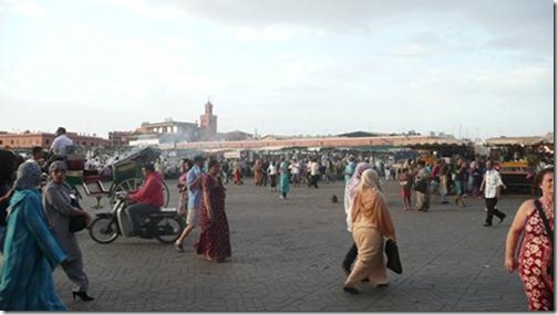 m_P1030158