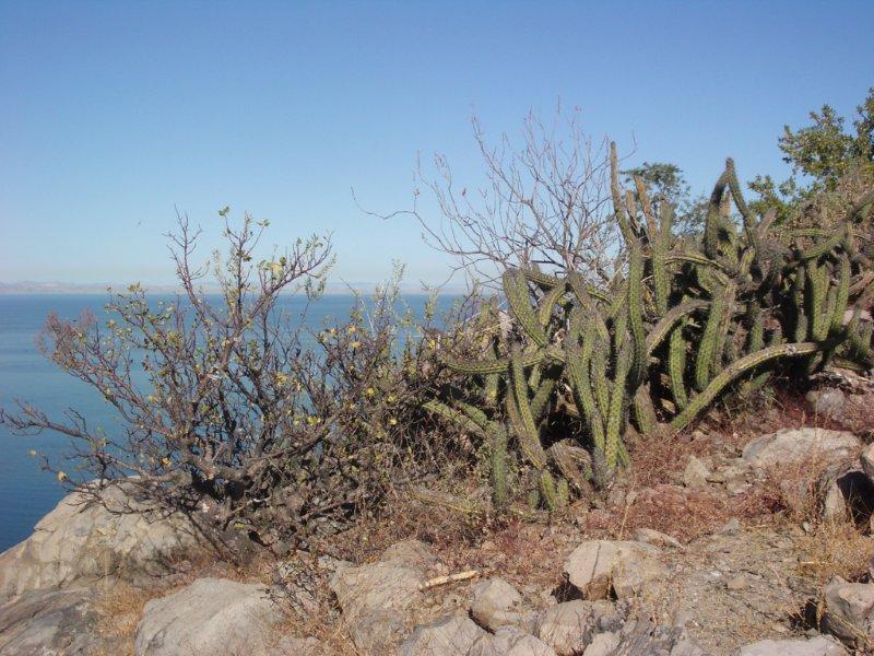La Paz - December 14 065.jpg