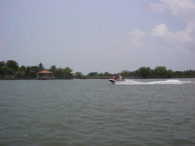 IMGP4674.jpg