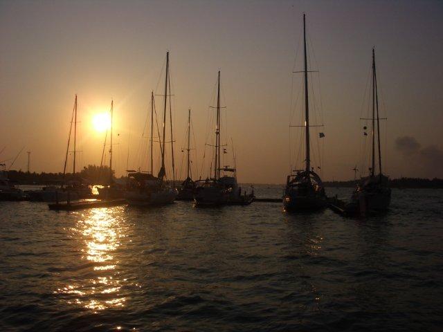 IMGP4702.jpg