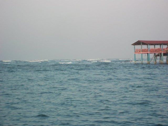 IMGP4714.jpg