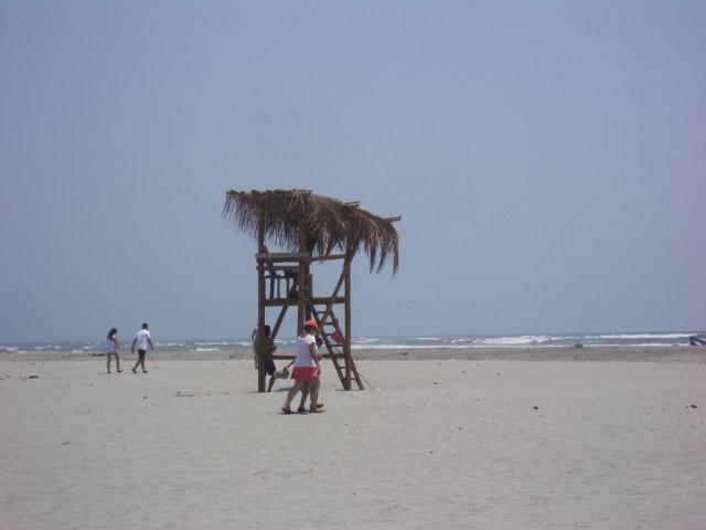 IMGP4736.jpg