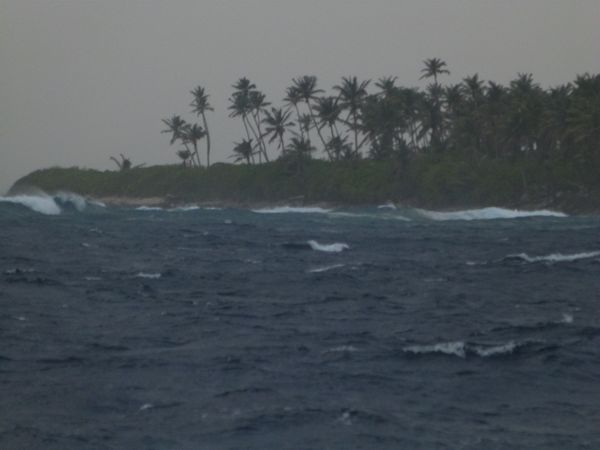 m_P1060298.jpg