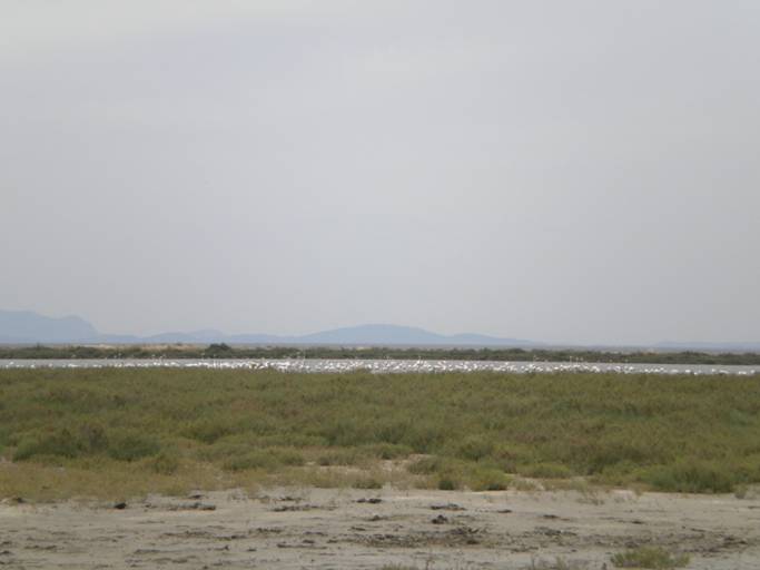 DSCN1190.JPG