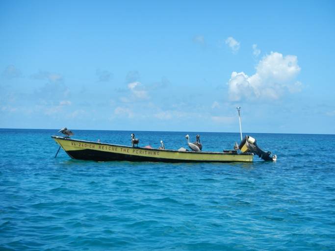 DSCN0775.JPG