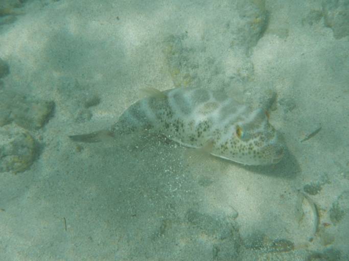 DSCN1051.JPG