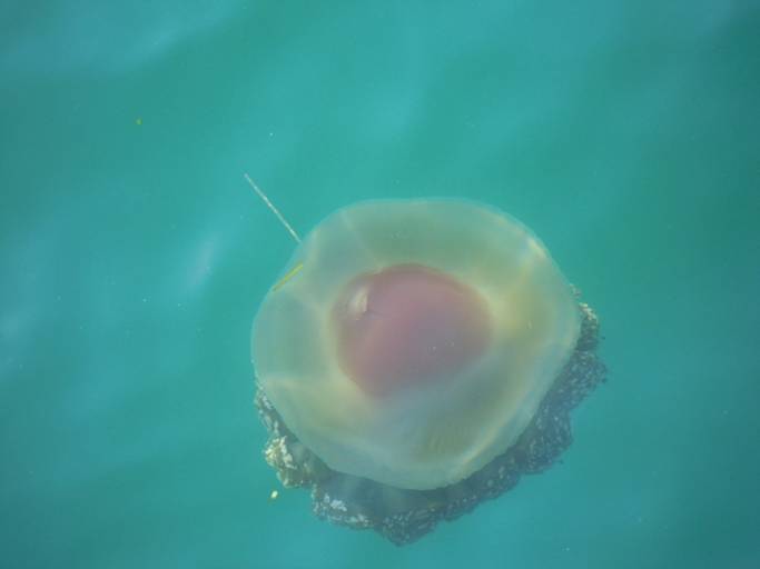 DSCN1797.JPG