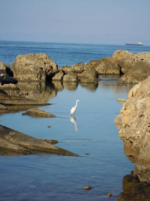 DSCN2337.JPG