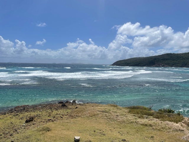 image1.jpeg