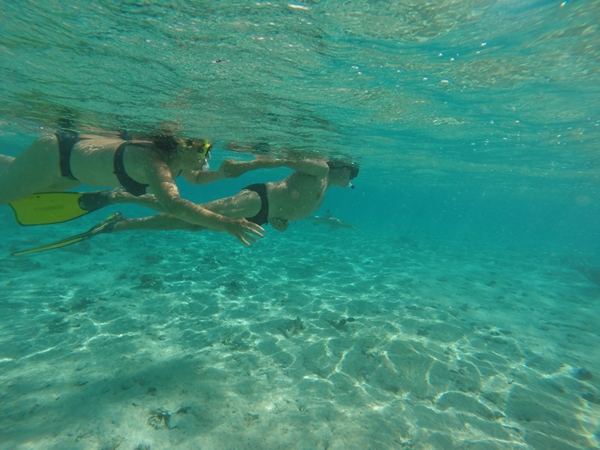 m_GOPR0544.jpg