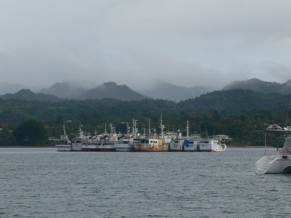 m_P1060364.jpg