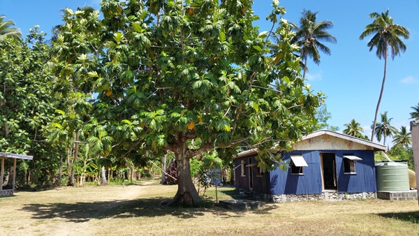 m_02 ter - 20140919_101613.jpg