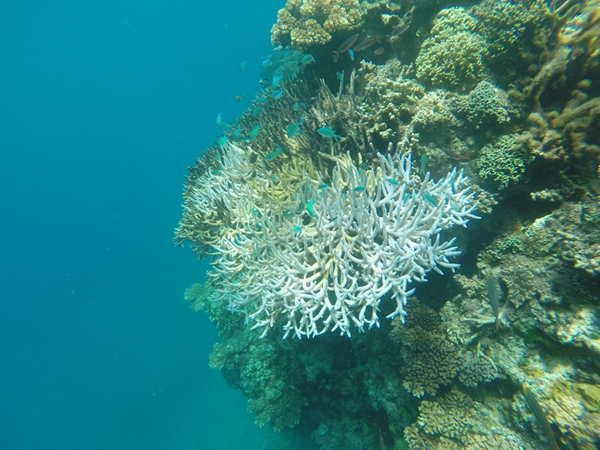m_GOPR0740.jpg