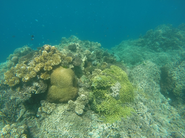 m_GOPR0761.jpg