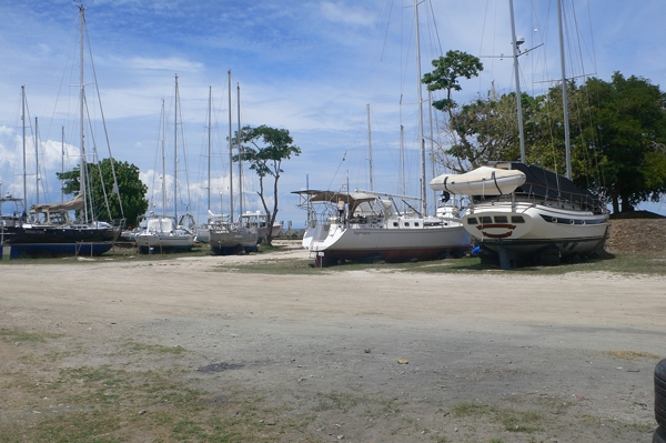 m_P1060950.jpg