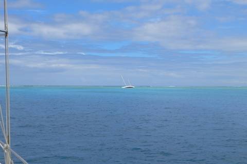 m_P1080035.jpg