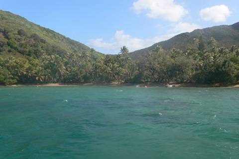 m_P1080366.jpg