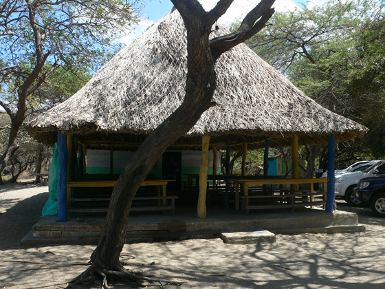 m_P1030877