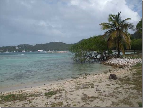m_DSCF2469