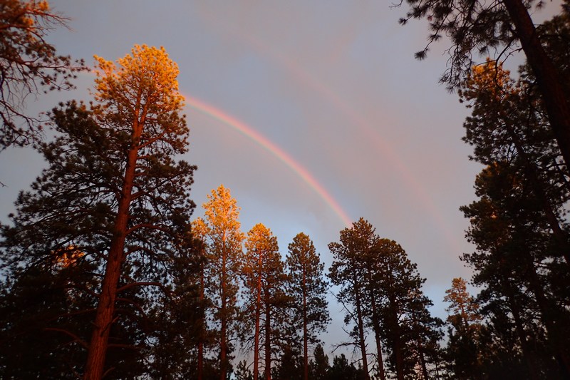 rainbow