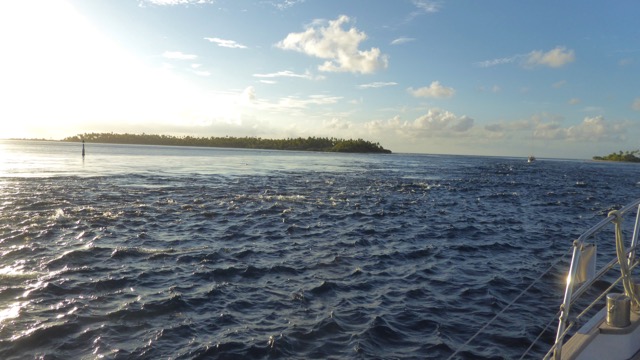 P1060786.jpg