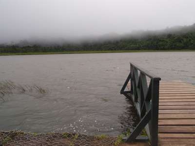 m_P6050078.jpg