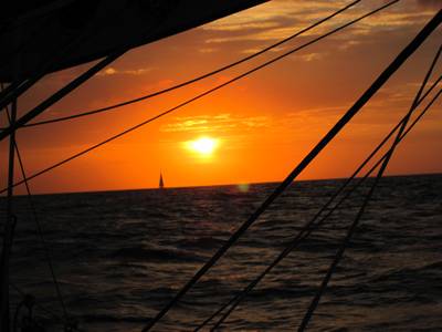 m_IMG_2208.jpg