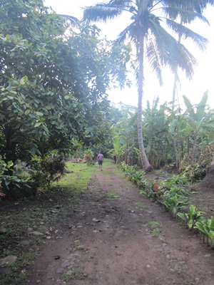 m_IMG_1939.jpg