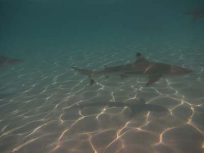 m_IMG_2165.jpg