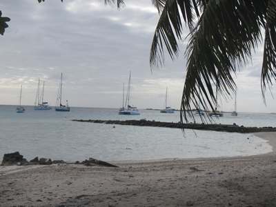 m_IMG_2480.jpg