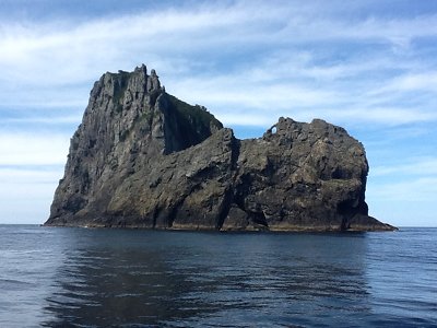 m_NZ 021.jpg