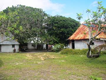 m_IMG_5754.jpg