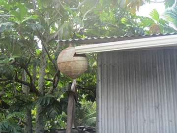 m_IMG_5759.jpg