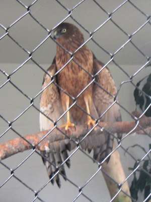 m_IMG_6328.jpg