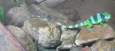 m_IMG_6348.jpg