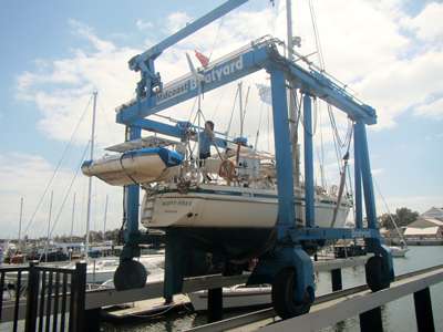 m_IMG_6963.jpg