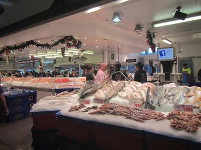 m_IMG_7439.jpg