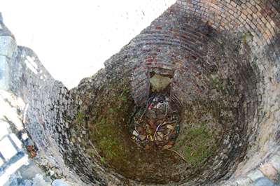 m_DSC_8555.jpg