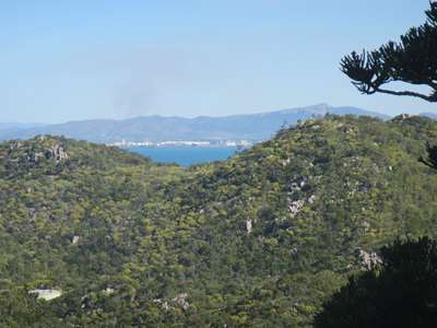 m_IMG_2776.jpg