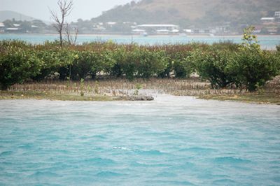 m_DSC_9918.jpg