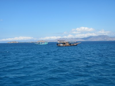 m_IMG_3819.jpg