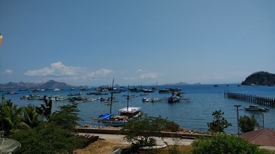 m_IMG_20170905_131651376.jpg