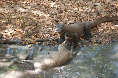 m_DSC_0146.jpg