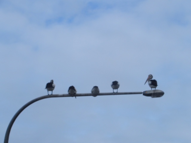 image5.JPG
